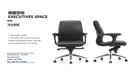 Best Supplier for Executive Chair, Visitor Chair, Meeting Chair, Mesh Chair